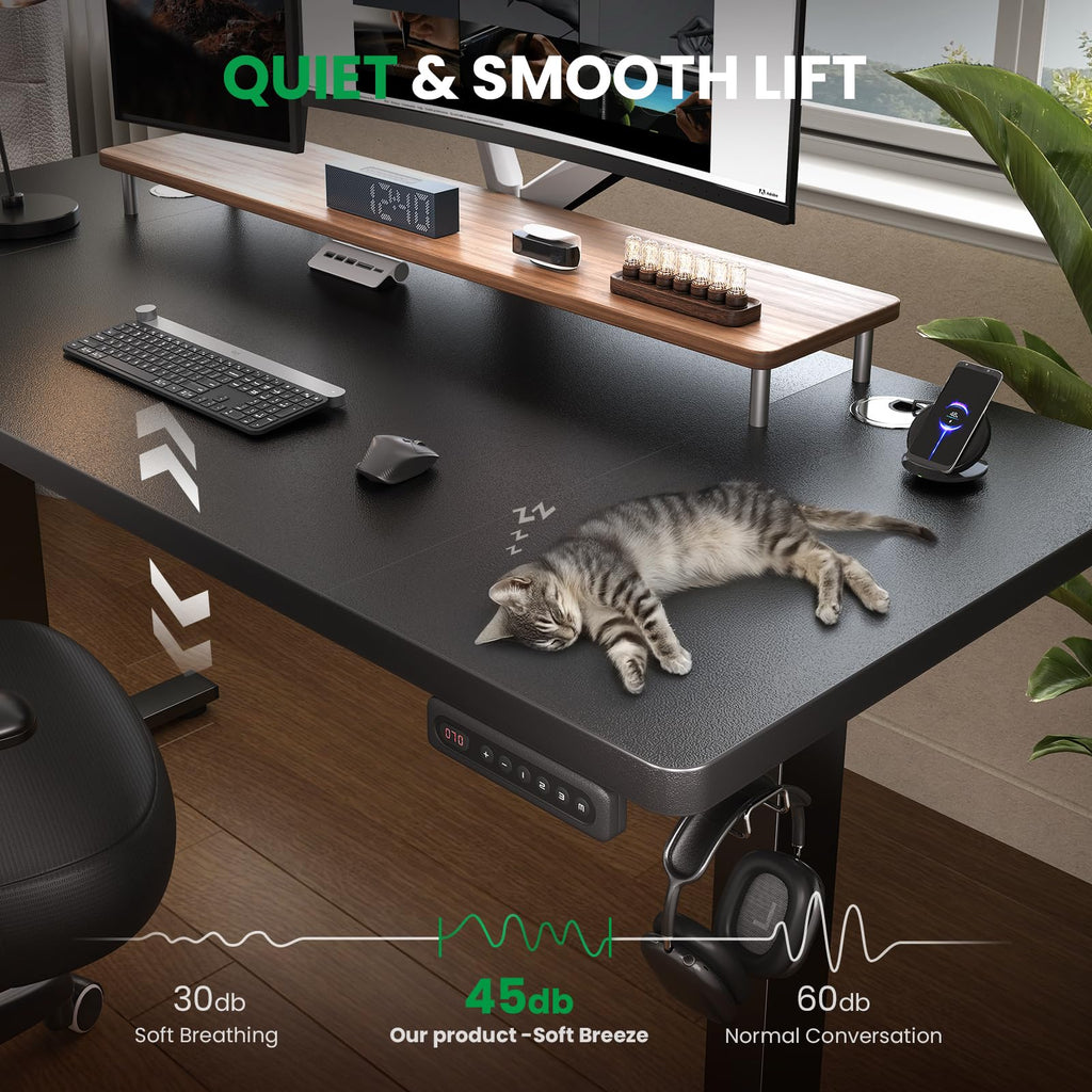 DeskShow 60-Inch Adjustable Electric Standing Desk