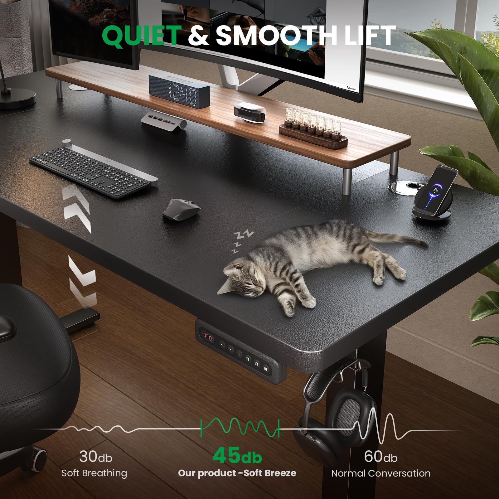 DeskShow 60-Inch Adjustable Electric Standing Desk
